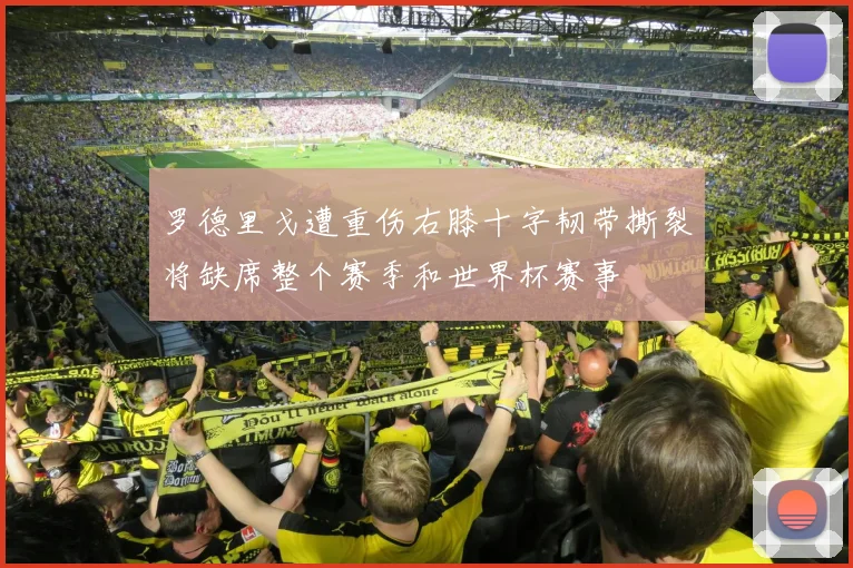 罗德里戈遭重伤右膝十字韧带撕裂将缺席整个赛季和世界杯赛事