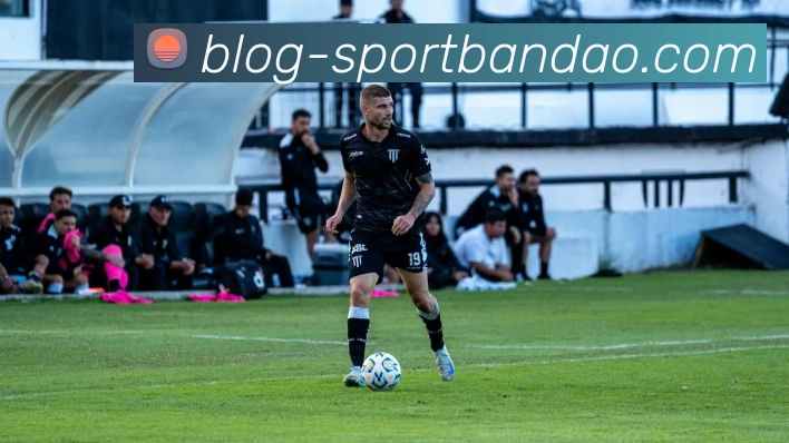 半岛体育平台生态图