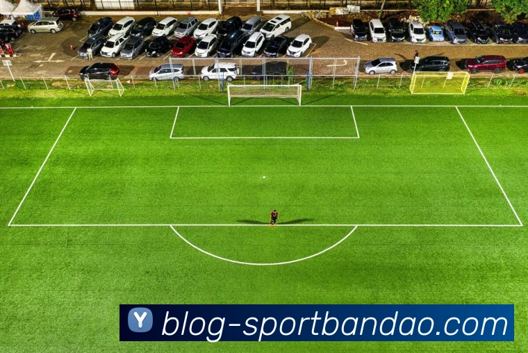 半岛体育APP 封面图